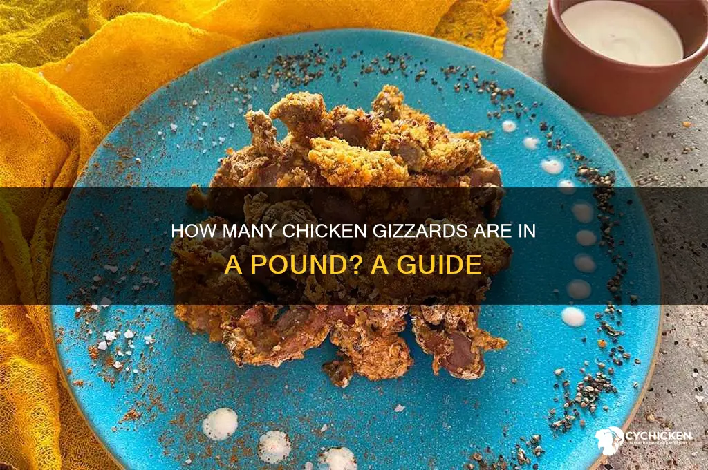 how many chicken gizzards in a pound