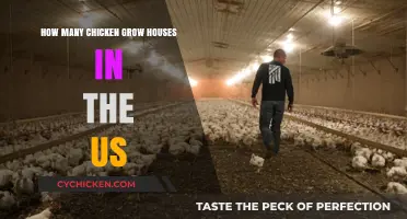 Chicken Grow Houses: How Many Does the US Have?