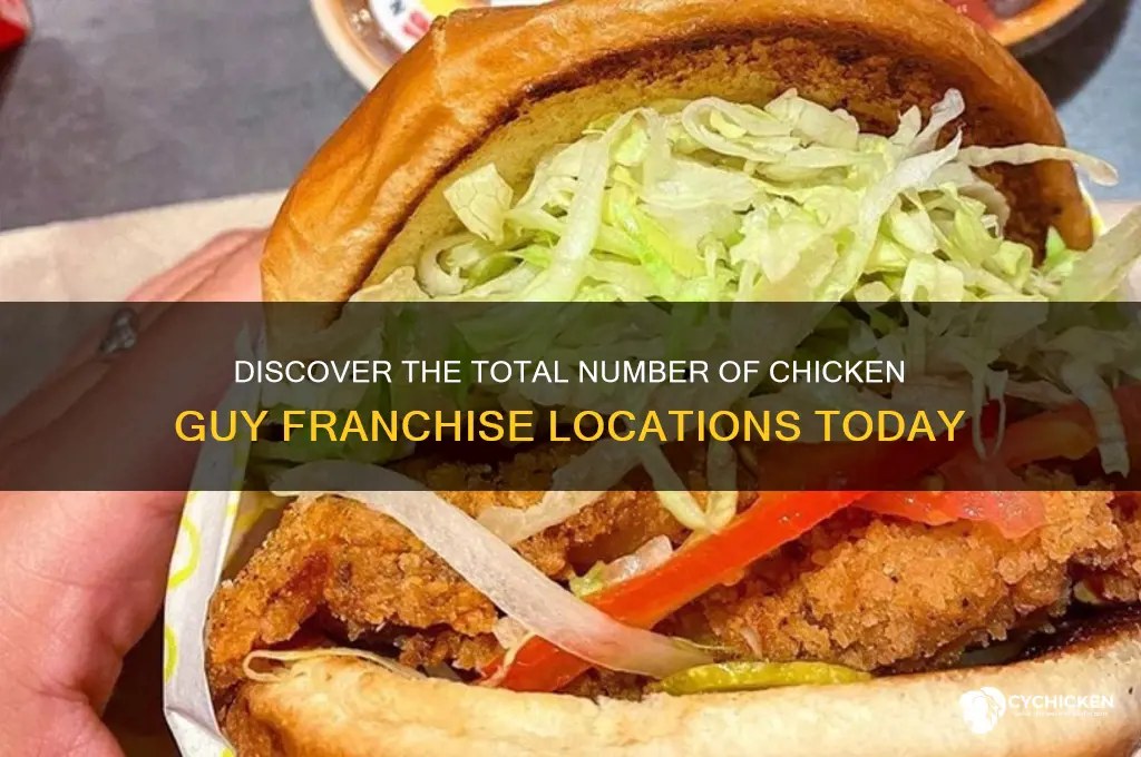 how many chicken guy franchises are there