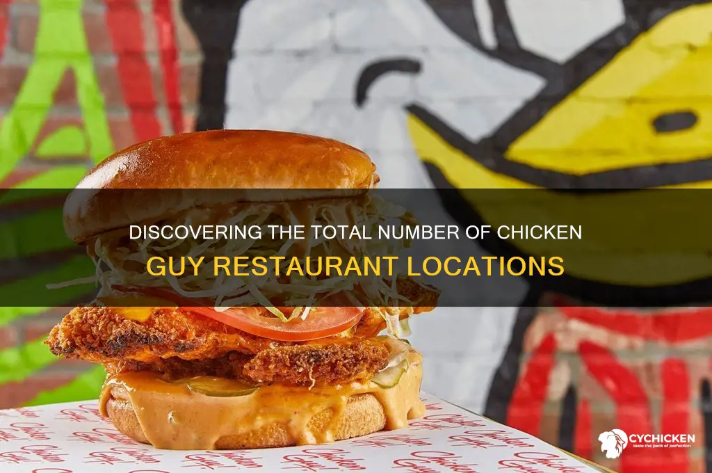 how many chicken guy locations are there