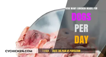 Feeding Dogs Chicken Heads: How Many Is Safe?