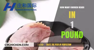 How Many Chicken Heads in a Pound: A Detailed Guide