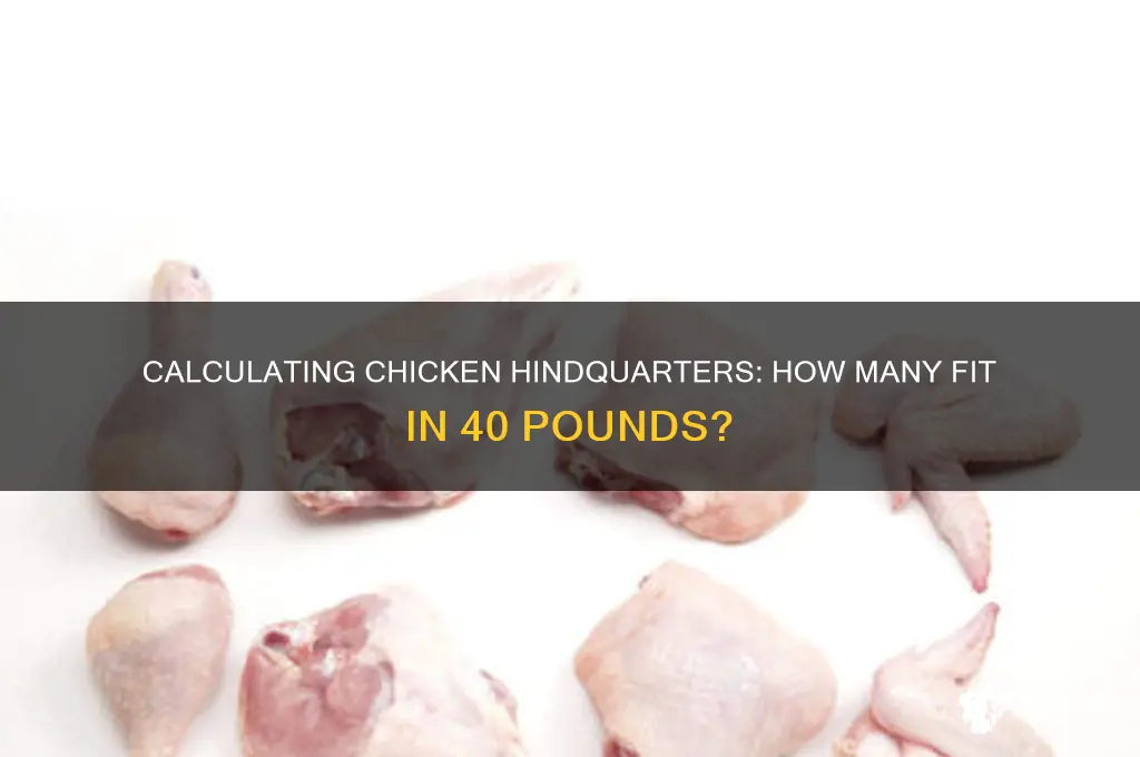 how many chicken hindquarters in 40 lbs