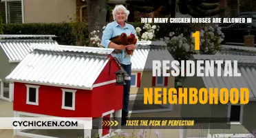 Chicken Houses in Residential Areas: What's the Limit?