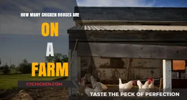 Chicken Farm: How Many Coops Are Needed?