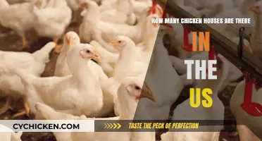 Chicken Houses: Counting America's Egg-Laying Abodes