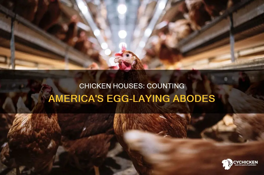 how many chicken houses are there in the us
