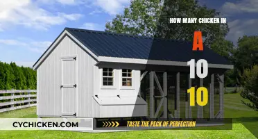 Calculating Chicken Capacity: How Many Fit in a 10x10 Space?