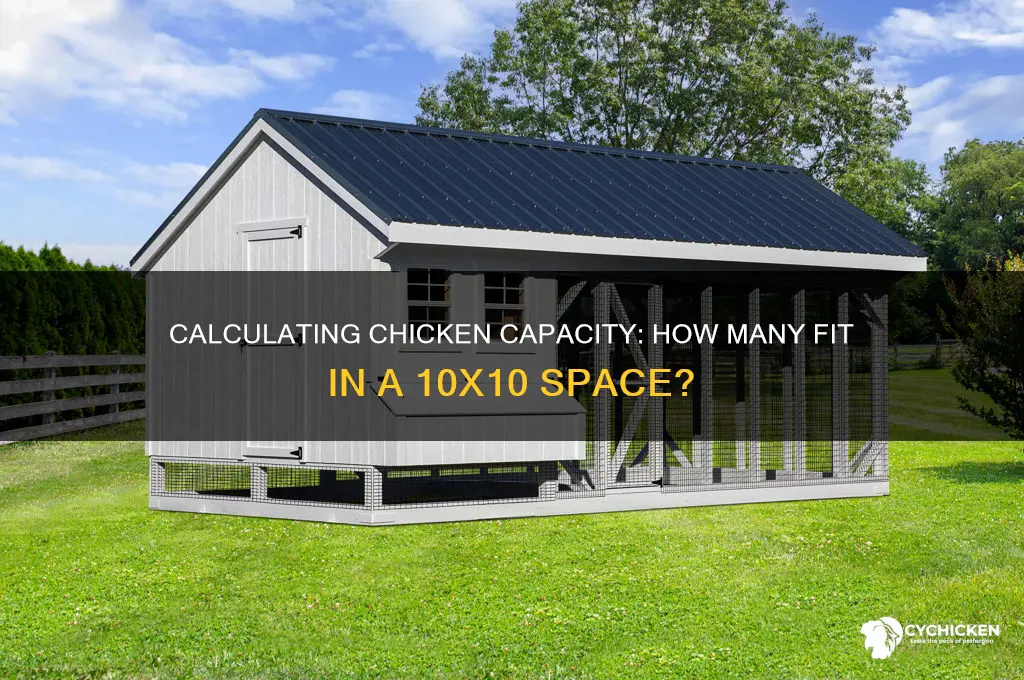 how many chicken in a 10 10