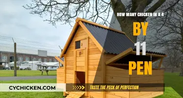 Maximizing Space: Chicken Pens and Efficiency