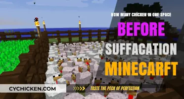 Preventing Chicken Suffocation in Minecraft: Optimal Space Management