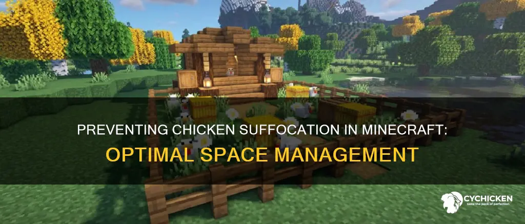 how many chicken in one space before suffacation minecarft