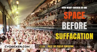 Preventing Suffocation: Optimal Chicken Space Management