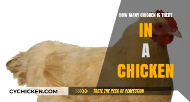 Chicken Anatomy: Exploring the Many Parts of a Chicken
