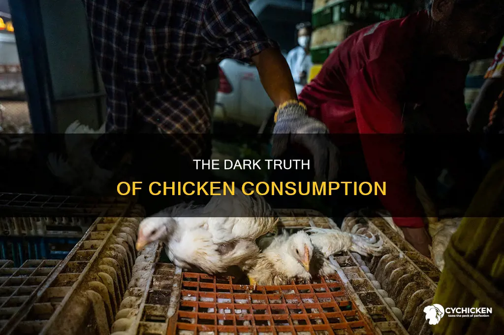 how many chicken killed a day in world