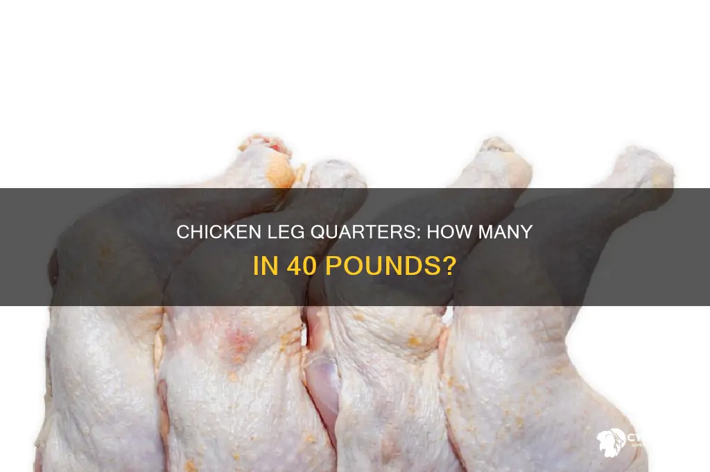 how many chicken leg quarters in 40 pounds