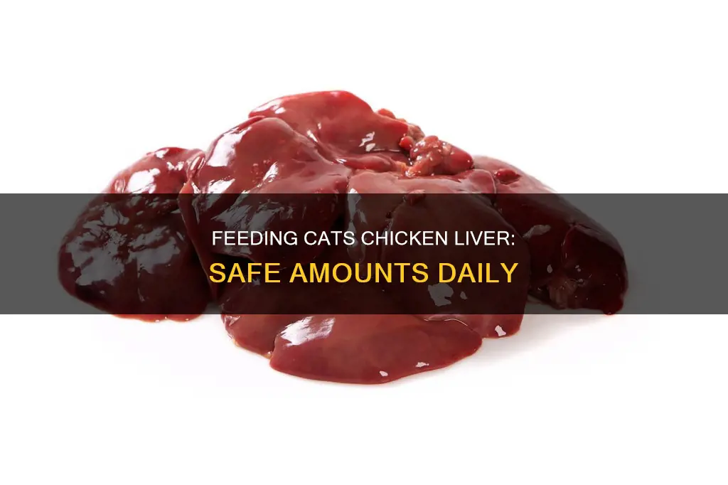 how many chicken liver is safe daily for cat