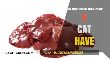Feeding Cats Chicken Liver: How Many Is Safe?
