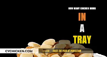Discover the Exact Count: Chicken Minis per Tray Revealed