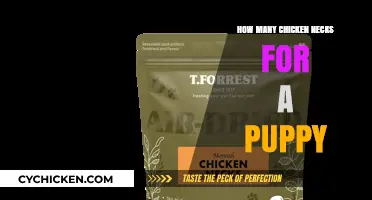 Feeding Your Puppy Chicken Necks: Safe Portions and Benefits Explained