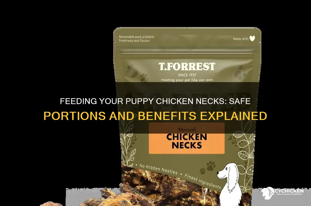 how many chicken necks for a puppy