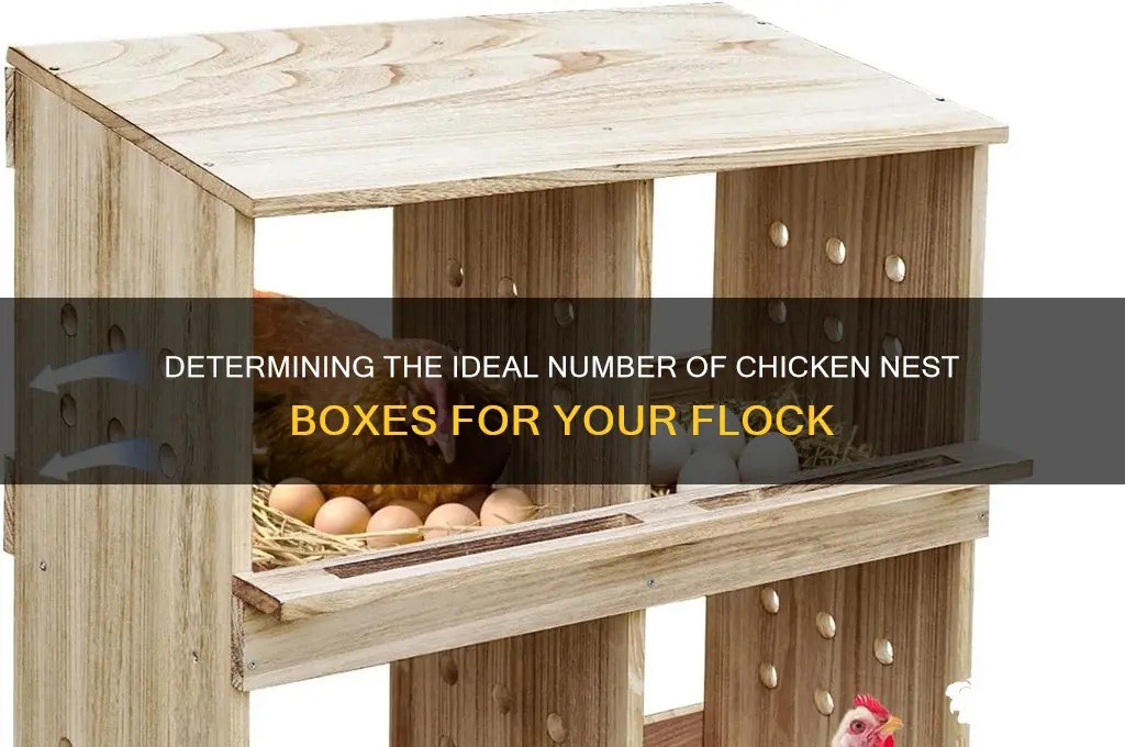 how many chicken nest boxes are necessary