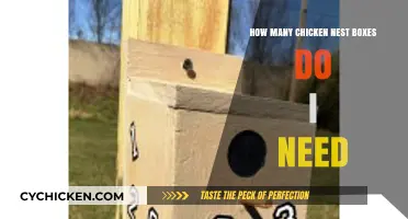 Nest Box Numbers: How Many for Happy Hens?