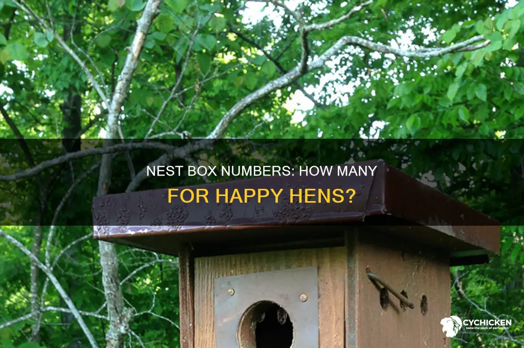 how many chicken nest boxes do i need
