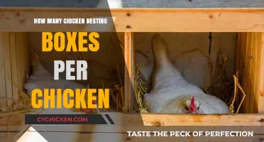 Optimal Nesting Box Ratio: How Many Does Each Chicken Need?
