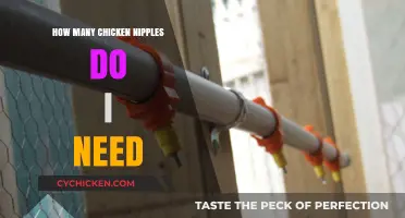 Calculating the Right Number of Chicken Nipples for Your Setup