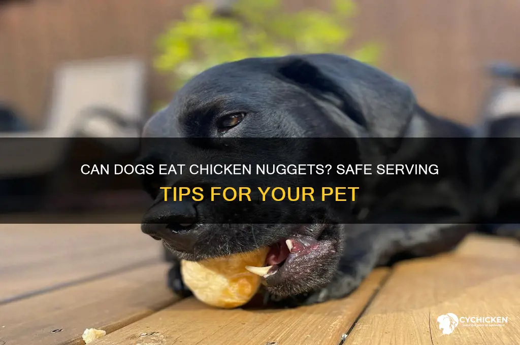 how many chicken nuggets can a dog consume