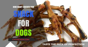 Chicken Paw Snacks for Dogs: Safe Serving Sizes Explained