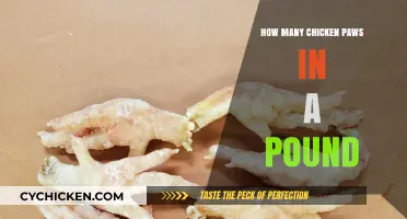 Chicken Paws by the Pound: Understanding Weight and Quantity
