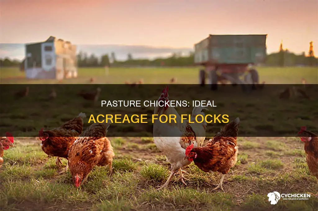 how many chicken per acre for pasture chickens