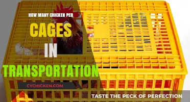 Optimal Chicken Cage Capacity for Safe and Humane Transportation