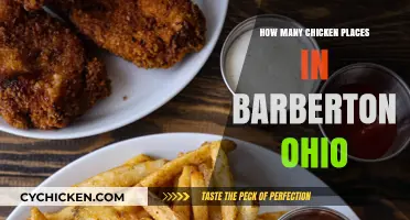 Discovering Barberton, Ohio's Chicken Scene: A Count of Local Spots