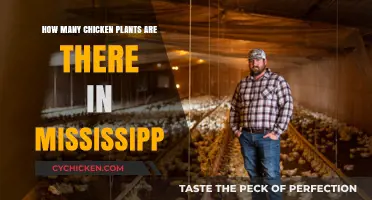 Chicken Plants in Mississippi: A Comprehensive Overview