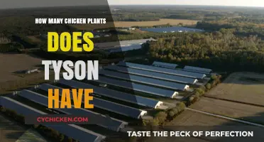Tyson's Chicken Plants: Uncovering the Scale of Their Operations