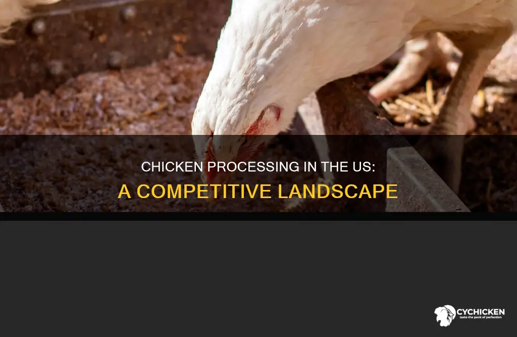 how many chicken processing companies are there in the us