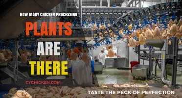 Exploring the Number of Chicken Processing Plants Nationwide