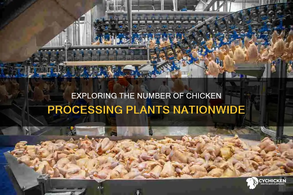 how many chicken processing plants are there