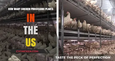 Chicken Processing Plants: A US Overview