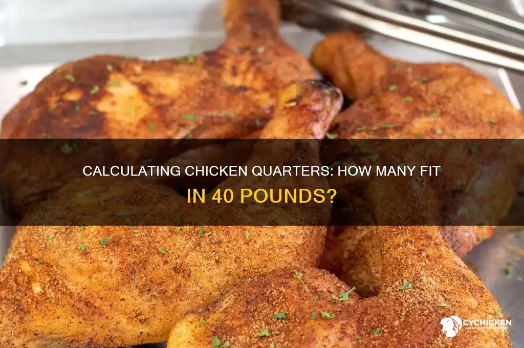 how many chicken quarters in 40 pounds