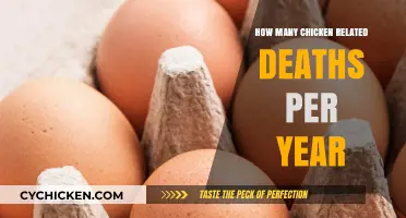 Annual Chicken-Related Fatalities: Surprising Statistics and Causes Revealed