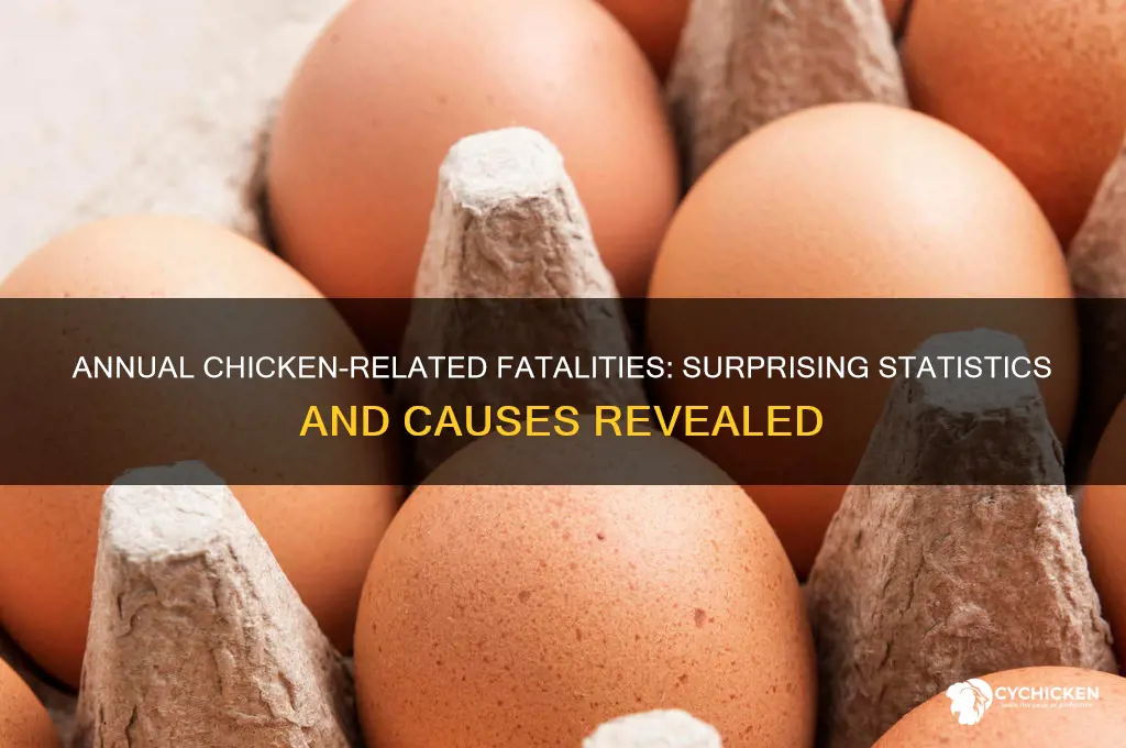 how many chicken related deaths per year