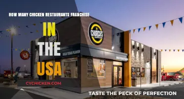 Chicken Restaurants: A Franchise Favorite in the USA