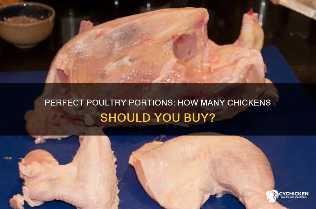 how many chicken should i buy