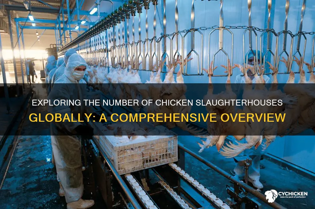 how many chicken slaughter houses are there