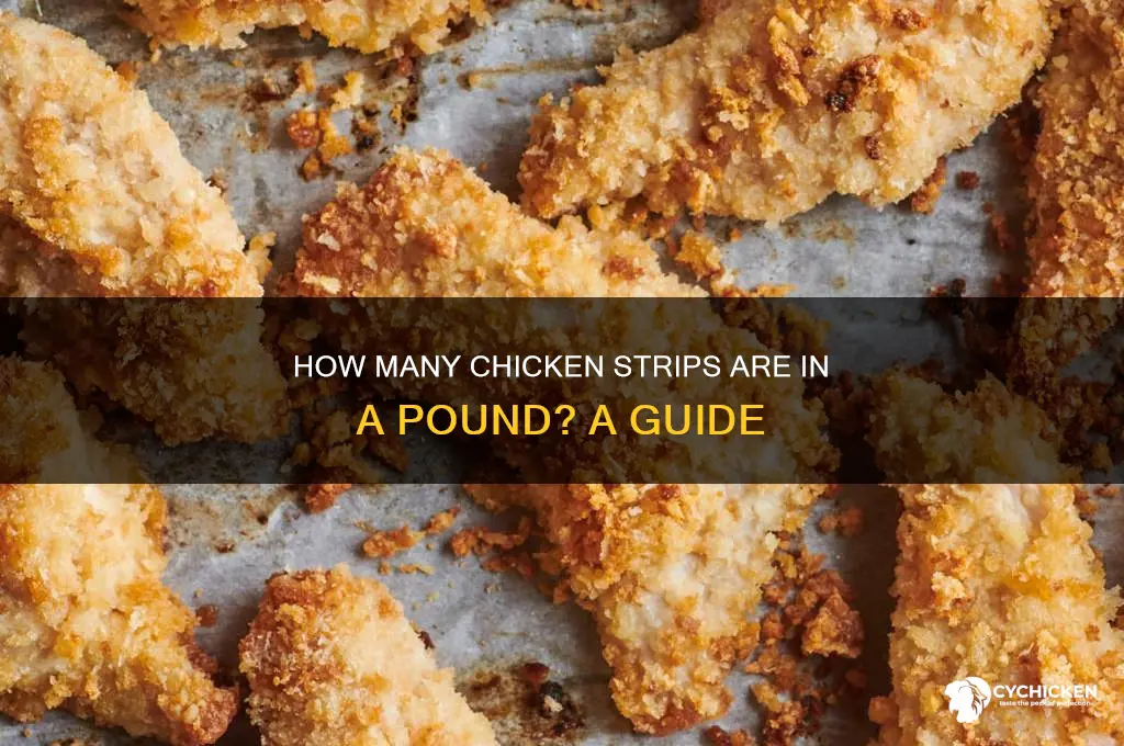how many chicken strips in 1 pound