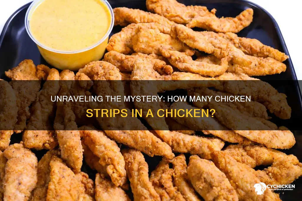how many chicken strips in a chicken